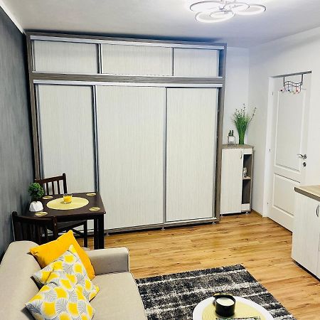 S&S Apartment Studio At Ground Floor Timisoara Town !!! Parcare La Locatie !! Exterior foto