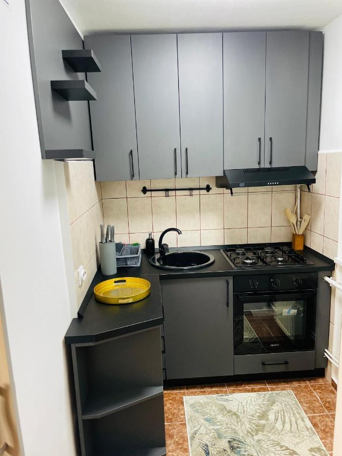 S&S Apartment Studio At Ground Floor Timisoara Town !!! Parcare La Locatie !! Exterior foto