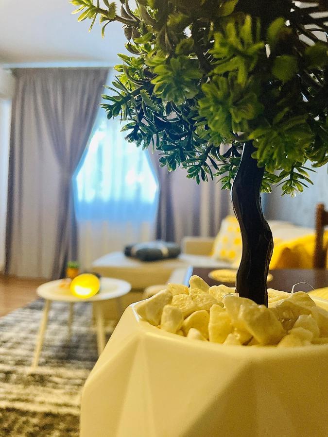 S&S Apartment Studio At Ground Floor Timisoara Town !!! Parcare La Locatie !! Exterior foto