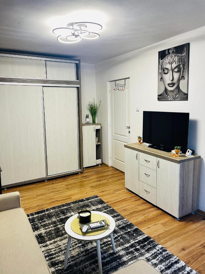 S&S Apartment Studio At Ground Floor Timisoara Town !!! Parcare La Locatie !! Exterior foto