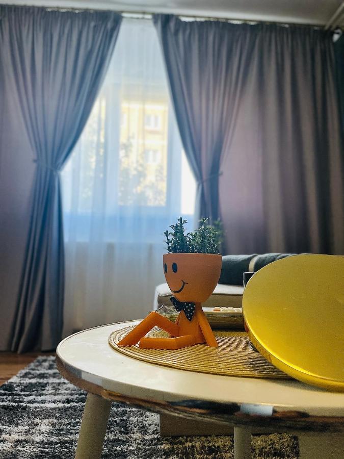 S&S Apartment Studio At Ground Floor Timisoara Town !!! Parcare La Locatie !! Exterior foto