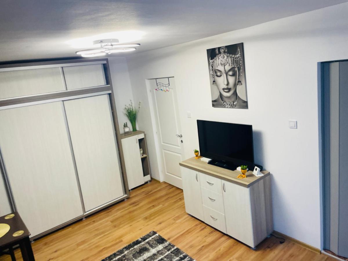 S&S Apartment Studio At Ground Floor Timisoara Town !!! Parcare La Locatie !! Exterior foto